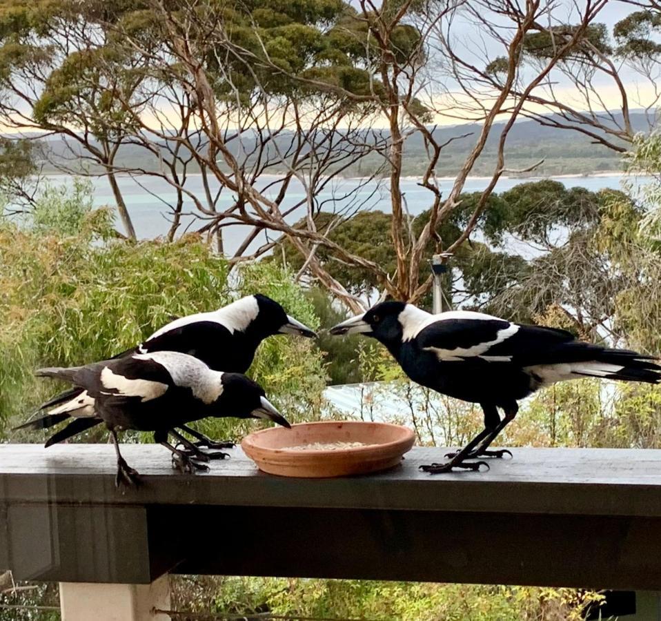 The River Suites, Kangaroo Island American River Екстериор снимка